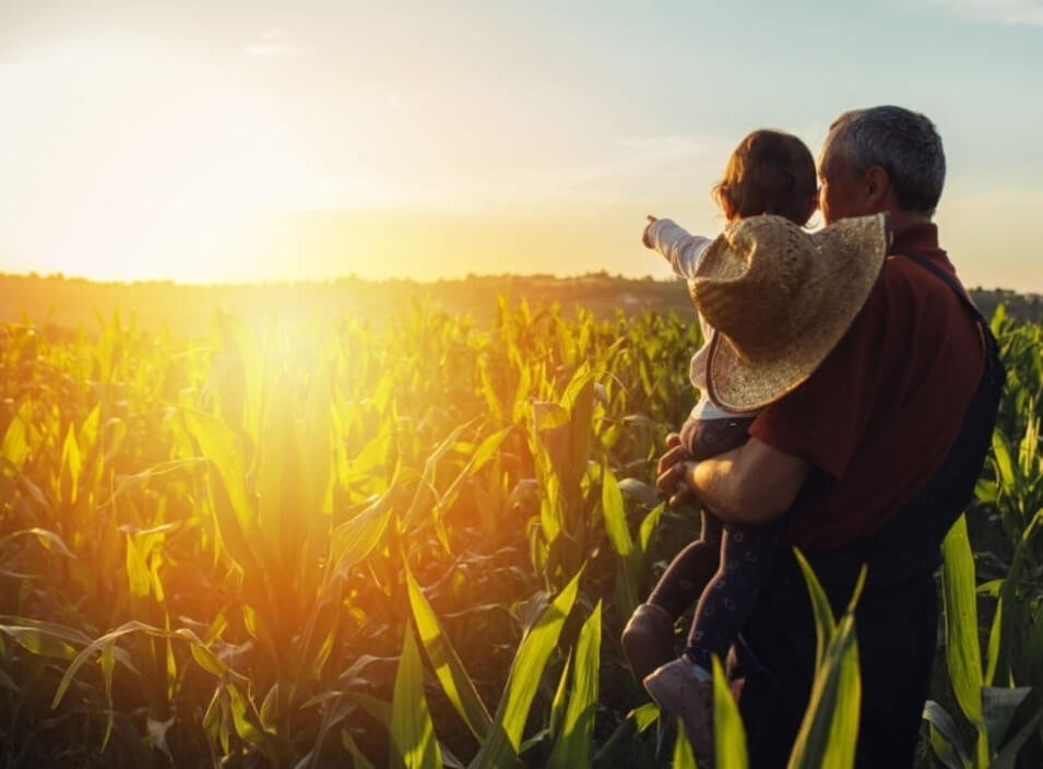 Abuelo cargando niño en el atardecer